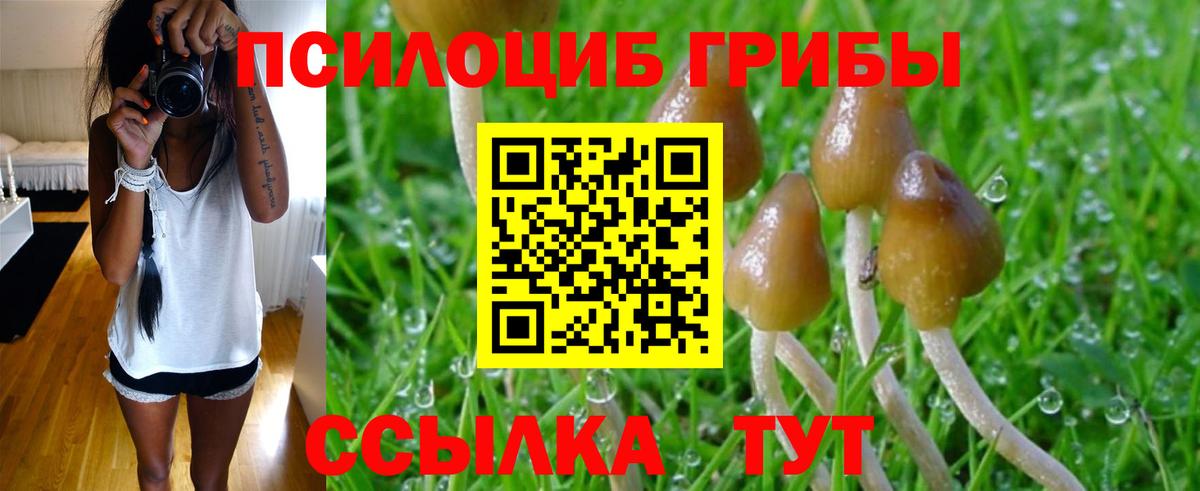 Галлюциногенные грибы GOLDEN TEACHER  Галлюциногенные грибы Psilocybe  Вход с VPN  Рубцовск 
